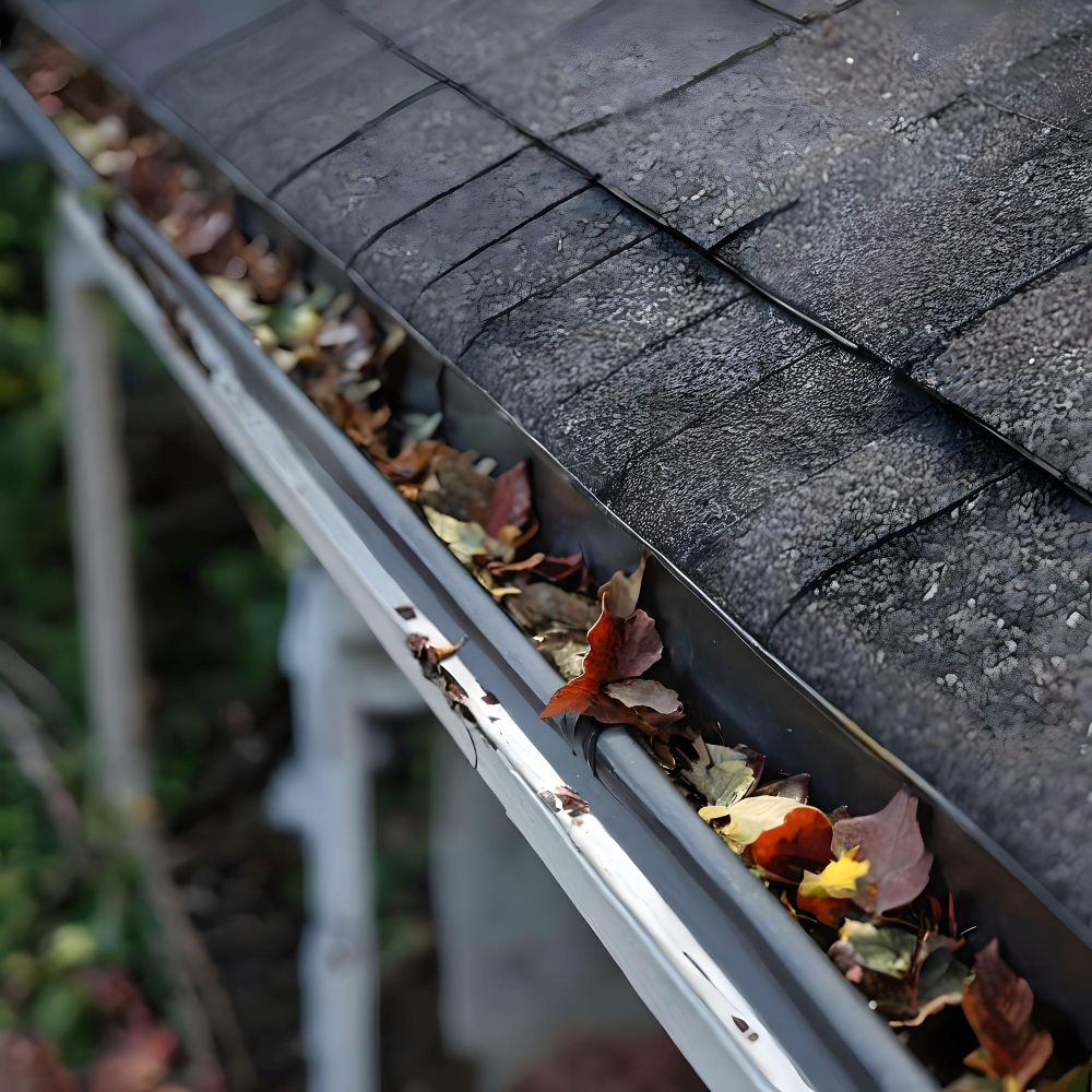 Gutter Cleaning