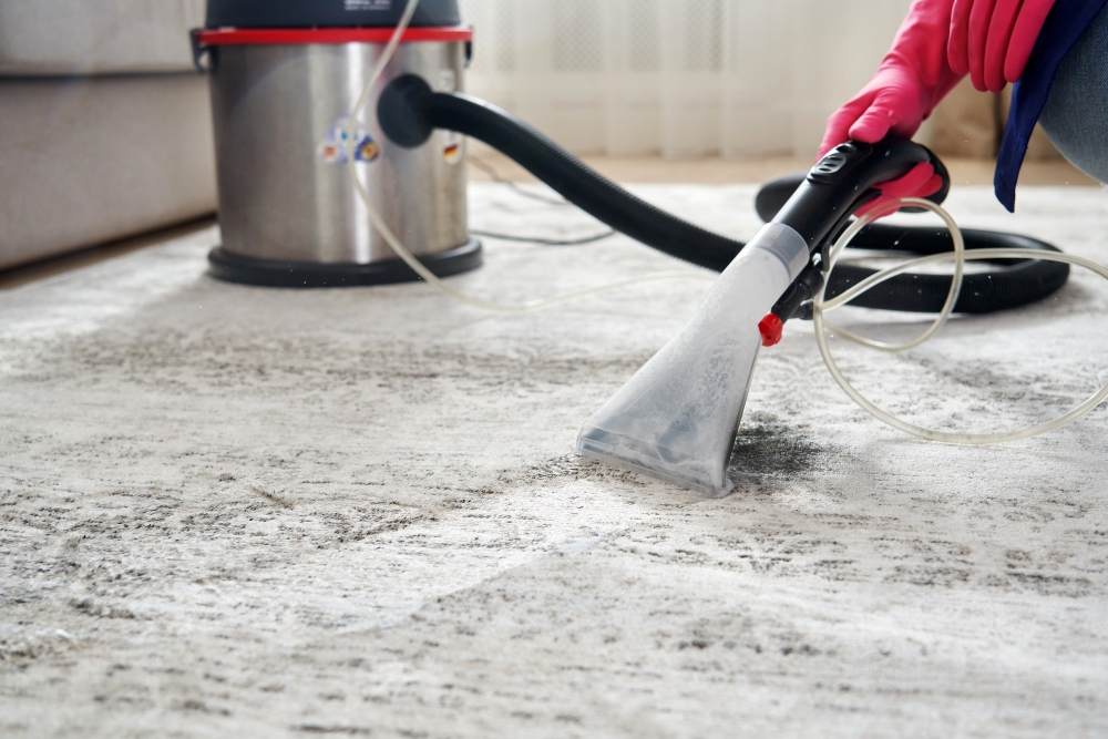 Carpet Cleaning Services 