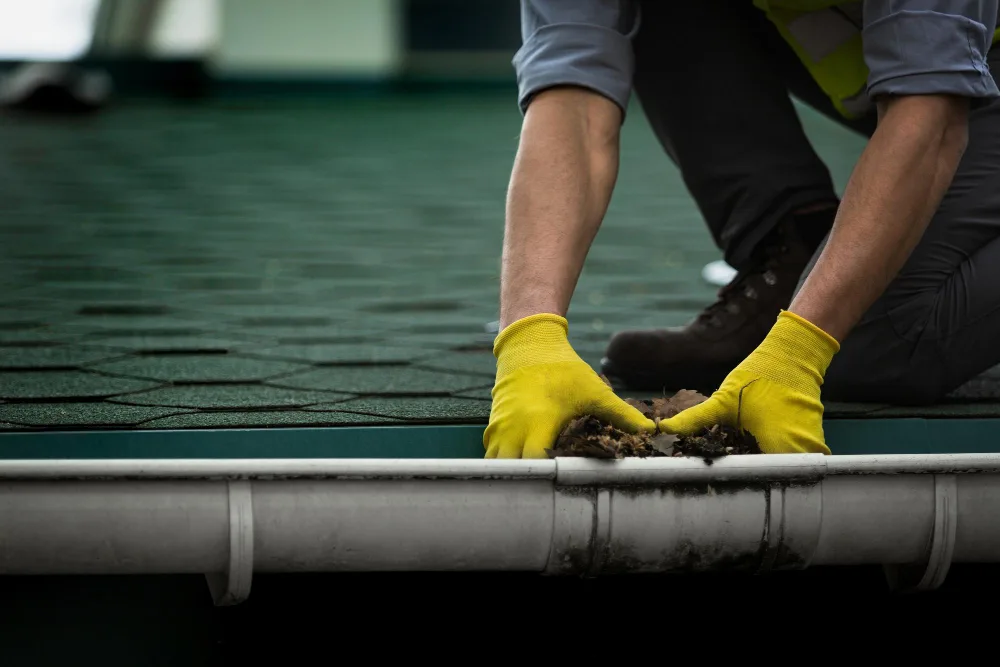 Gutter Cleaning